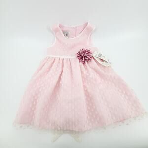 Marmellata Coquette Dainty Empire Waist Flower Pink Sheer Polka Dot Dress 24mo